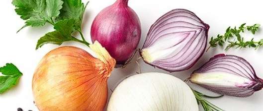 혈액순환에 좋은 음식 - 양파