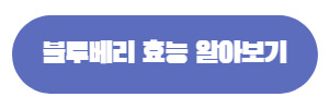 블루베리