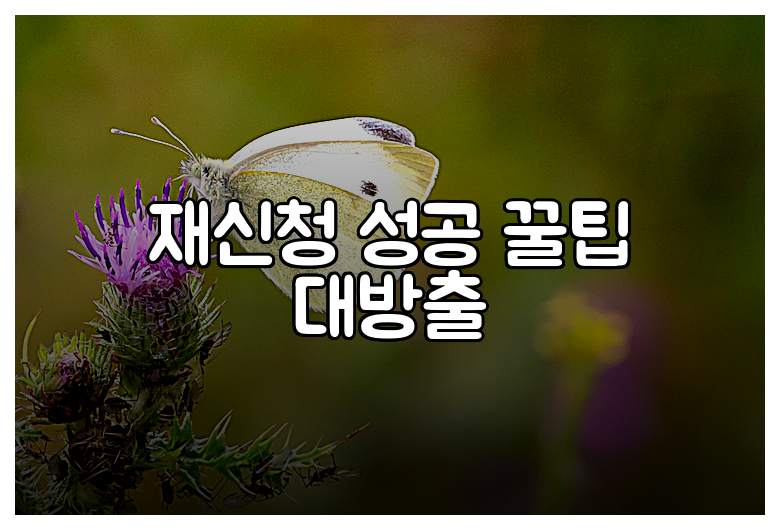 재신청 성공 꿀팁 대방출