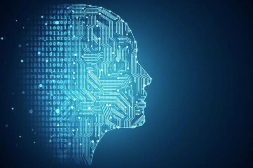 경계선 지능 장애 특징