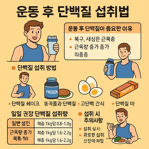 운동 후 단백질 섭취법