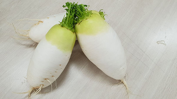 겨울 제철음식 무 채소