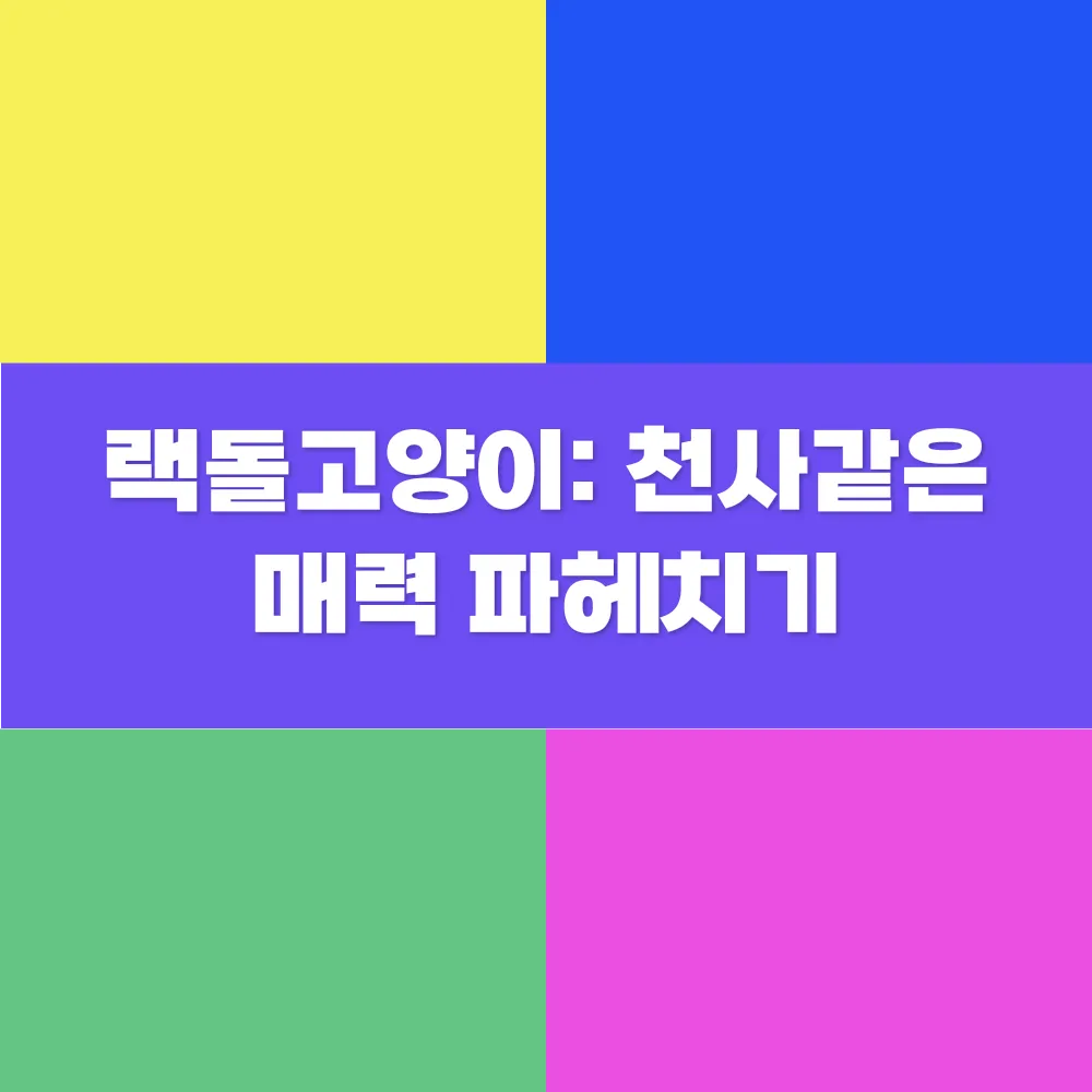 썸네일 이미지
