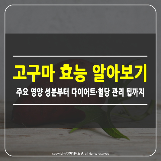 고구마 효능 썸네일