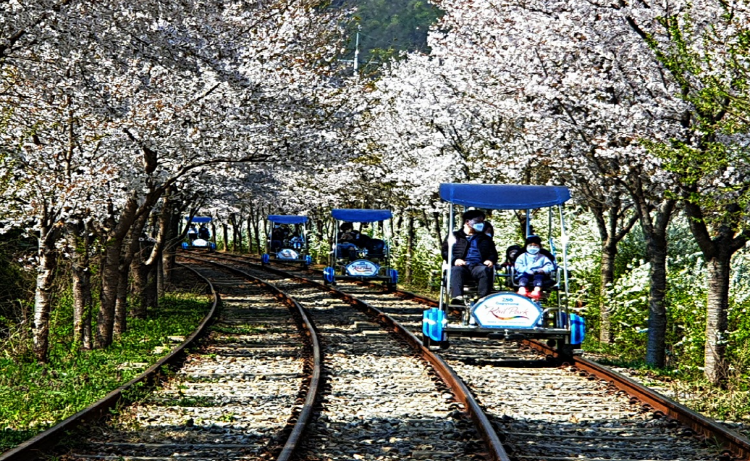 가평 레일바이크