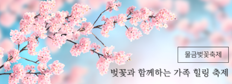 2025 물금벚꽃축제