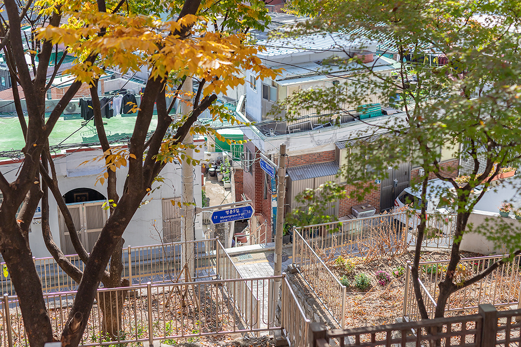 혜화문
성북동
한양도성길
백악구간
서울여행
서울단풍
가을단풍
단풍
성벽
와룡공원
