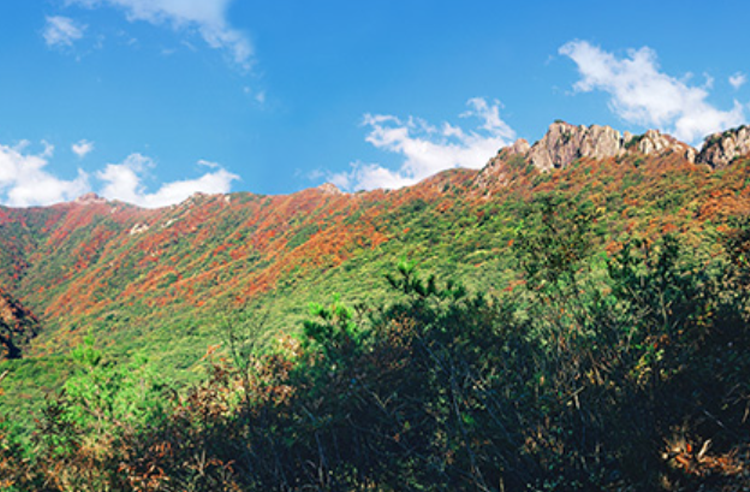 내장산 생태탐방원
