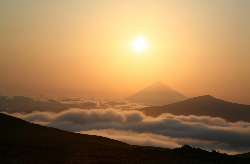 북한 배경 장편소설 분단문학, 통일소설, 역사소설 참고 사진