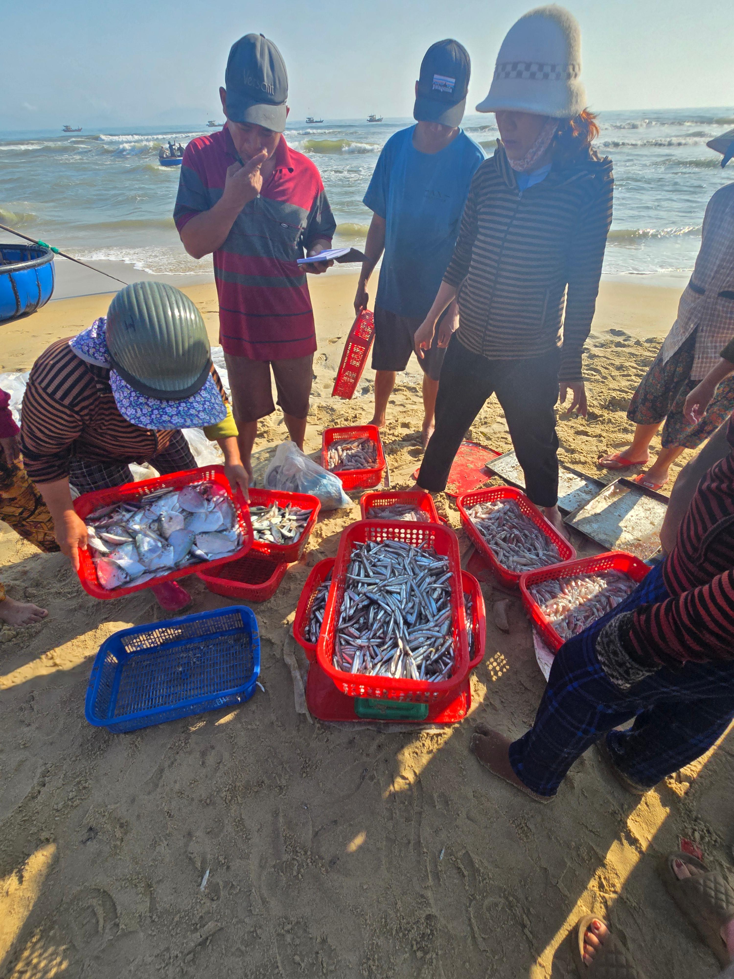 베트남 해변에서 어부들이 빨간 바구니에 생선을 담아 거래하는 풍경