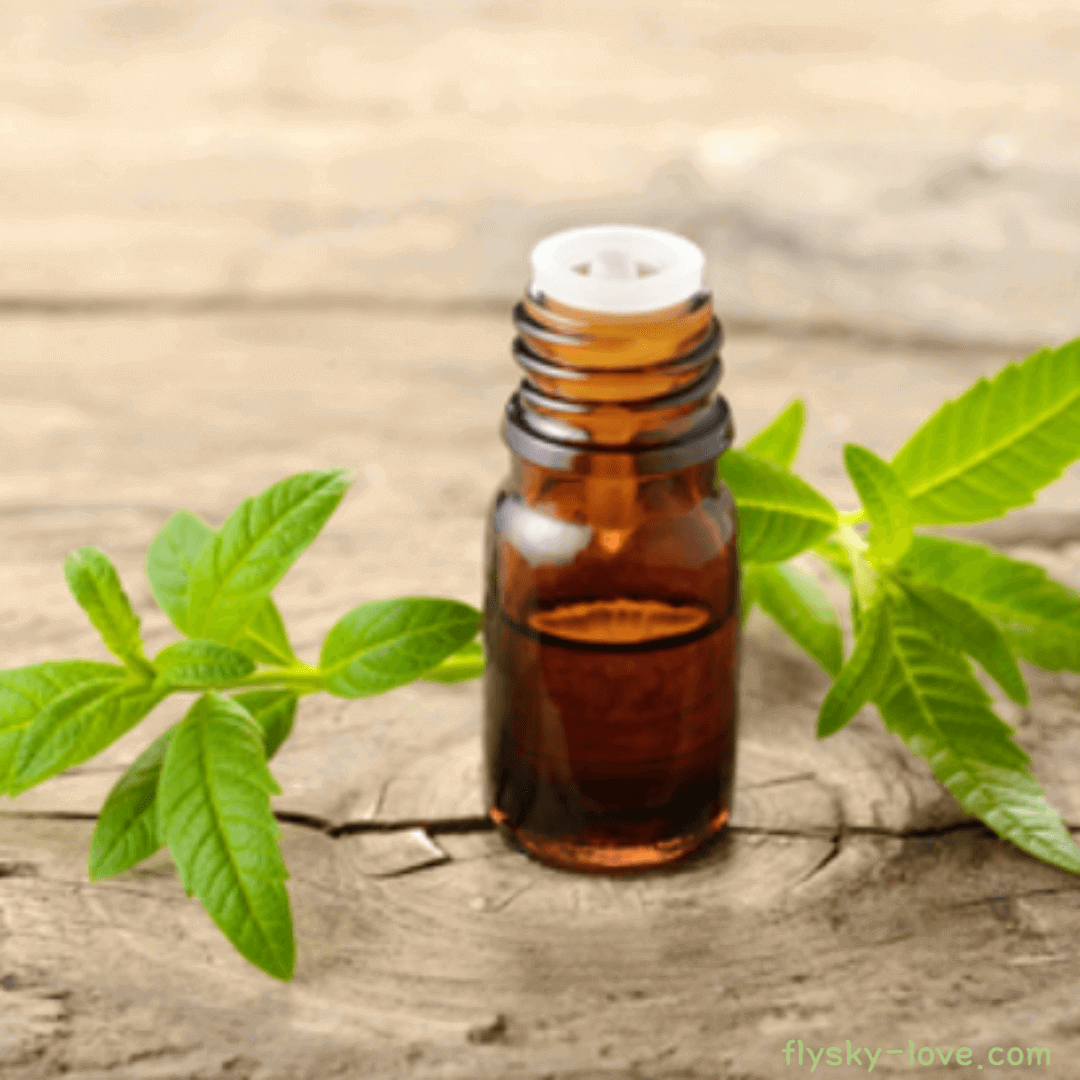 레몬버베나 오일