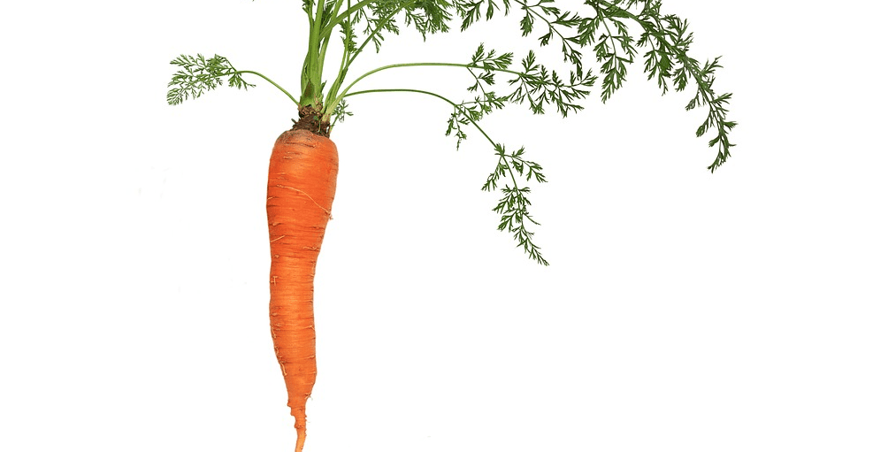 심장 건강에 좋은 음식 관련 사진 - 6