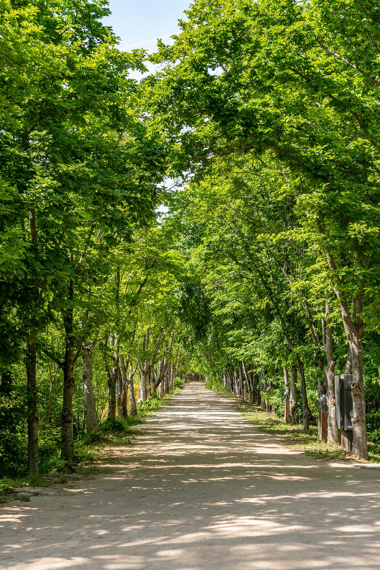 경상북도 산림환경연구원