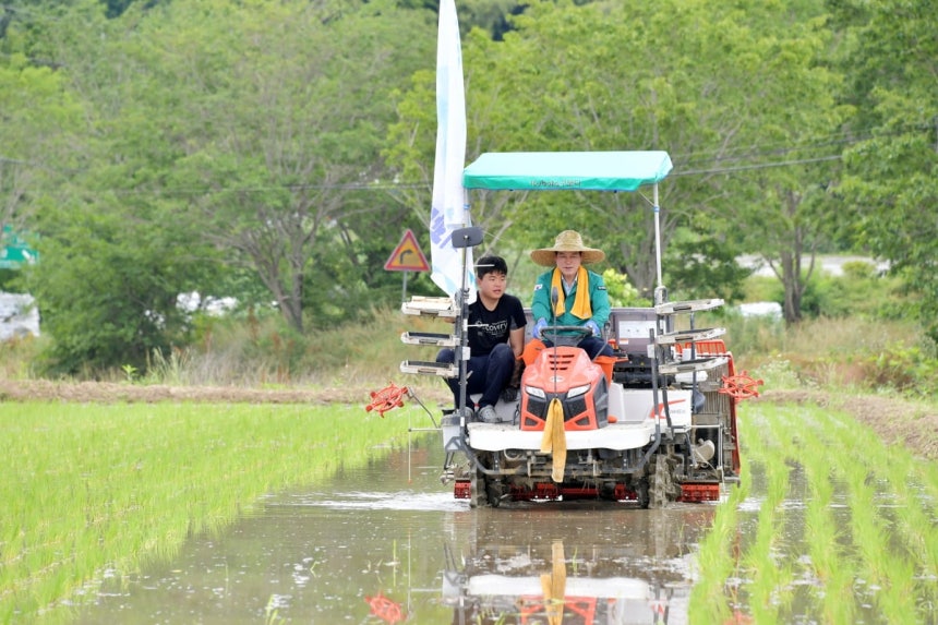 지난달 19일 충븍 담양군 월산면에서 열린 '2025 통일 쌀 모내기 행사'에서 직접 모를 심는 모습.