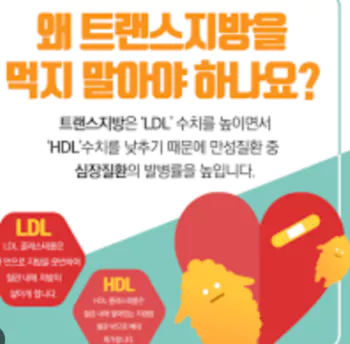 트랜스지방-텍스트1