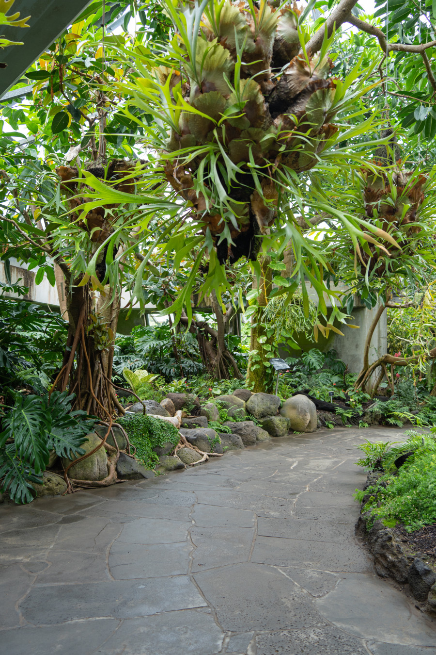 여미지 식물원 열대 정원