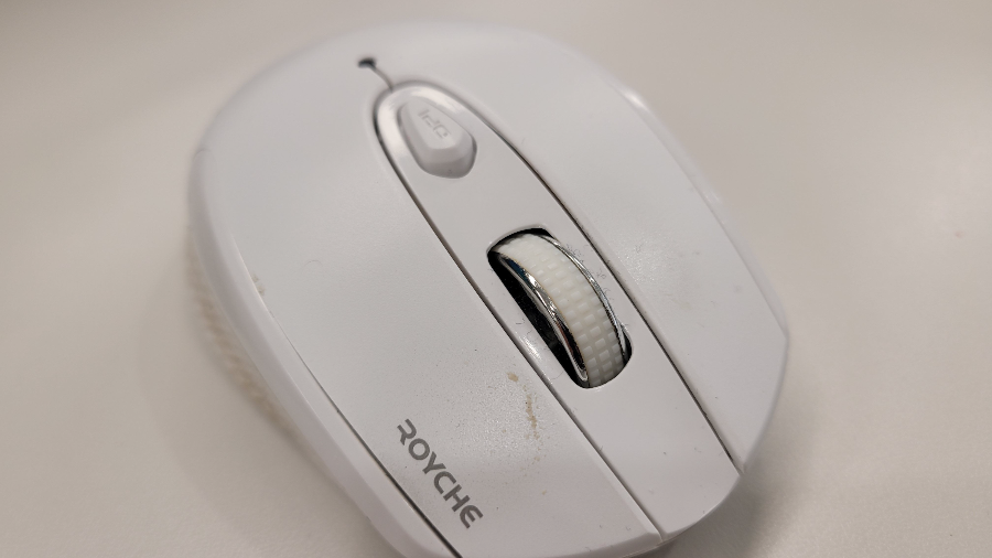 로이체-RX550-정면