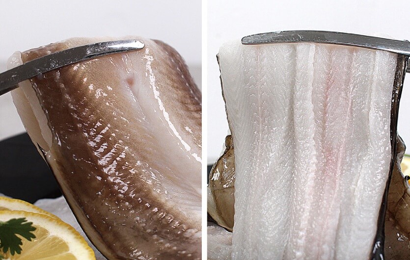 오늘N 이 맛에 산다 통영 다연호 자연산 바다장어 돌문어 구매방법