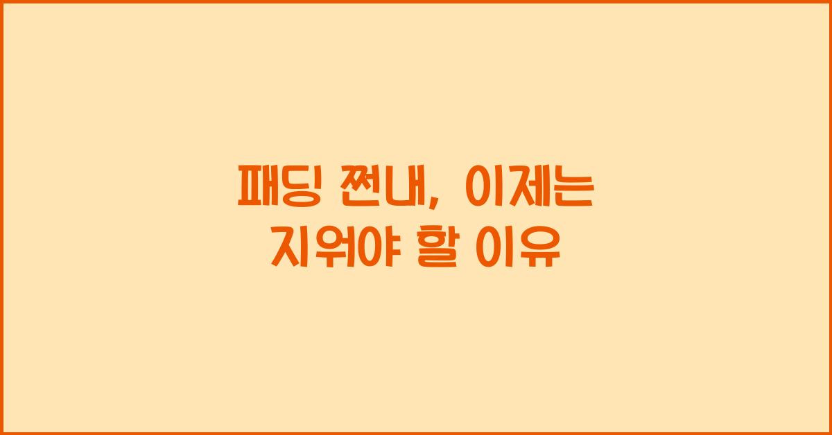 패딩 쩐내
