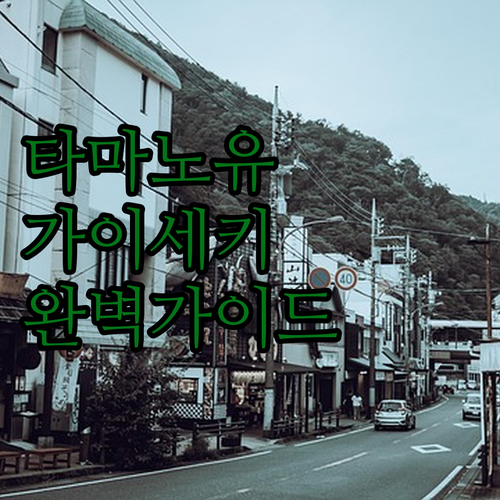 유후인 타마노유 료칸 개인 가족탕 이..