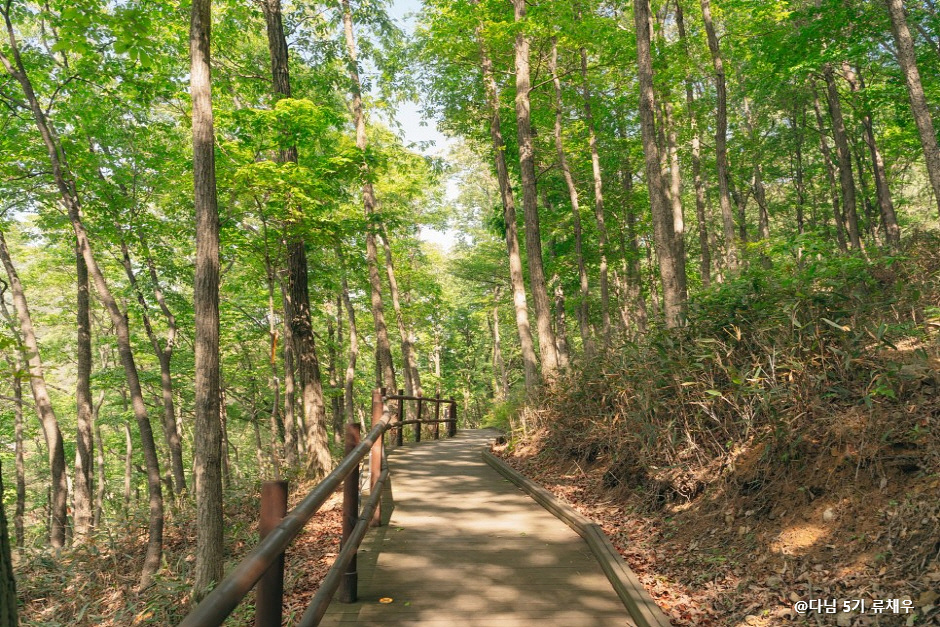 진안 운일암반일암 숲길