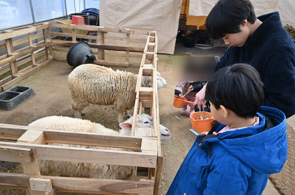 용인 포레스트벨 에서 딸기도 따고 동물 먹이도 주고 온 후기 사진 7