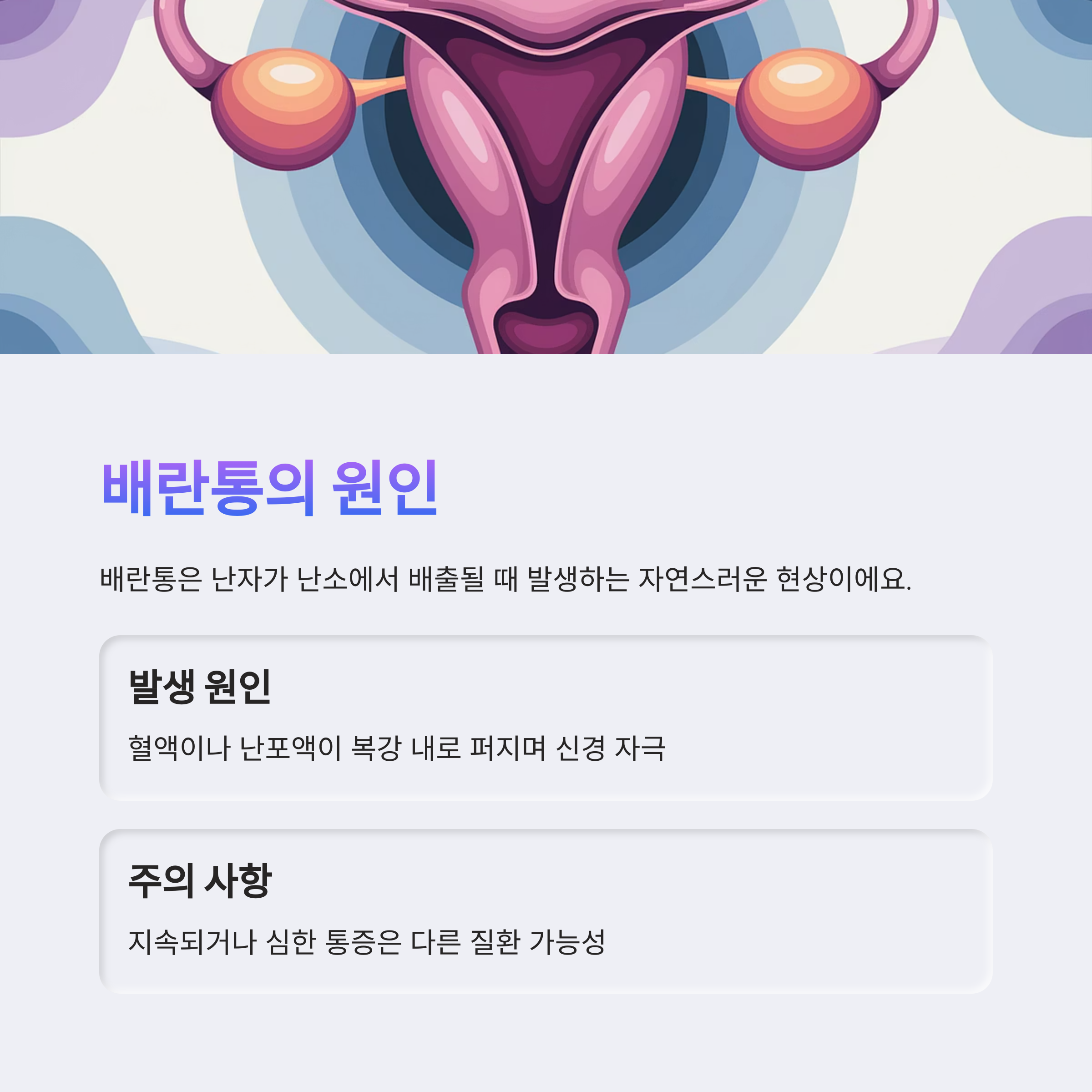 배란통 – 원인과 주의사항