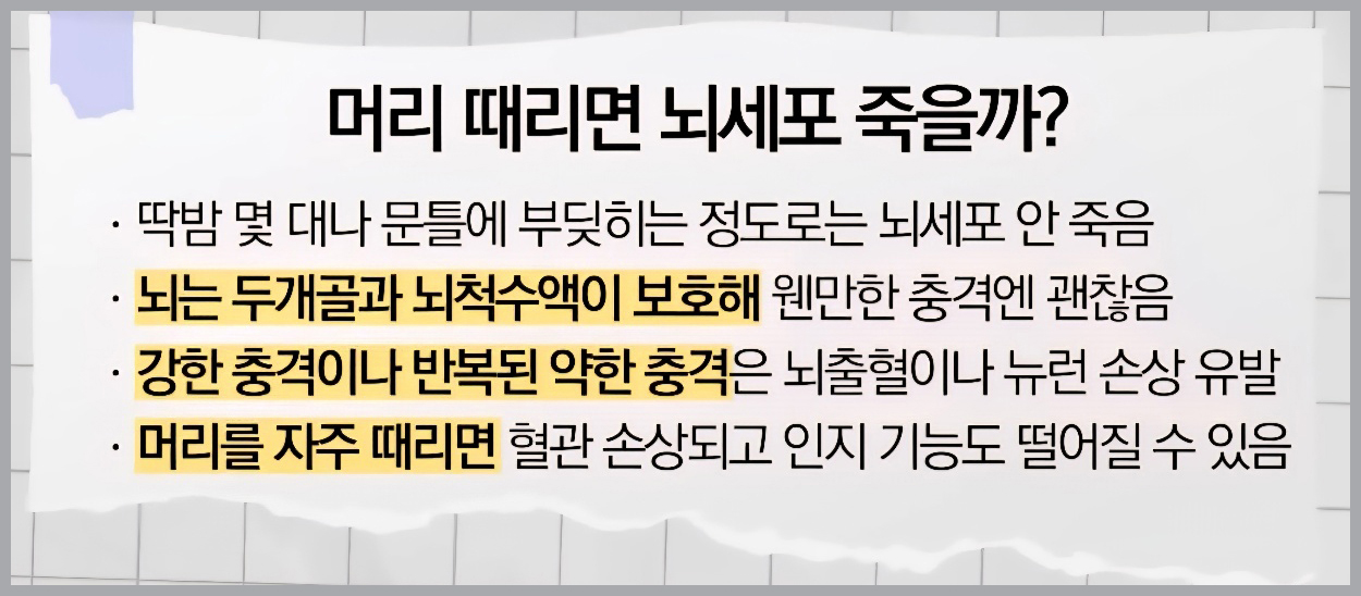 치매 초기 신호-잦은 머리 충격-검진요망