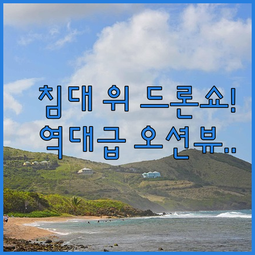 침대 위에서 드론쇼를 감상하는 로망 ..