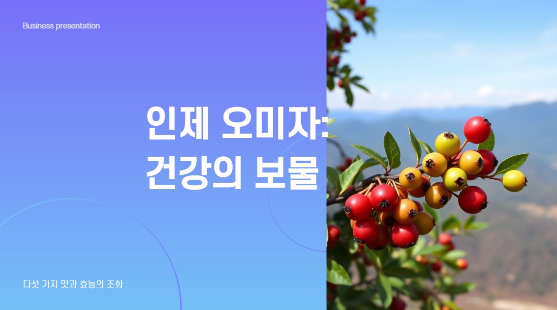 인제 오미자 건강의 보물