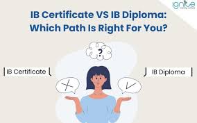 IB EE(Extended Essay) 주제 추천｜전공별 점수 잘 나오는 주제 관련사진