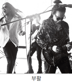 2025 중랑 서울장미축제