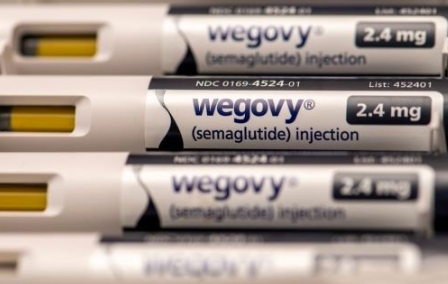 민생회복지원금-2차-위고비