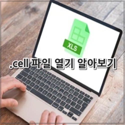 .cell 파일 열기 알아보기