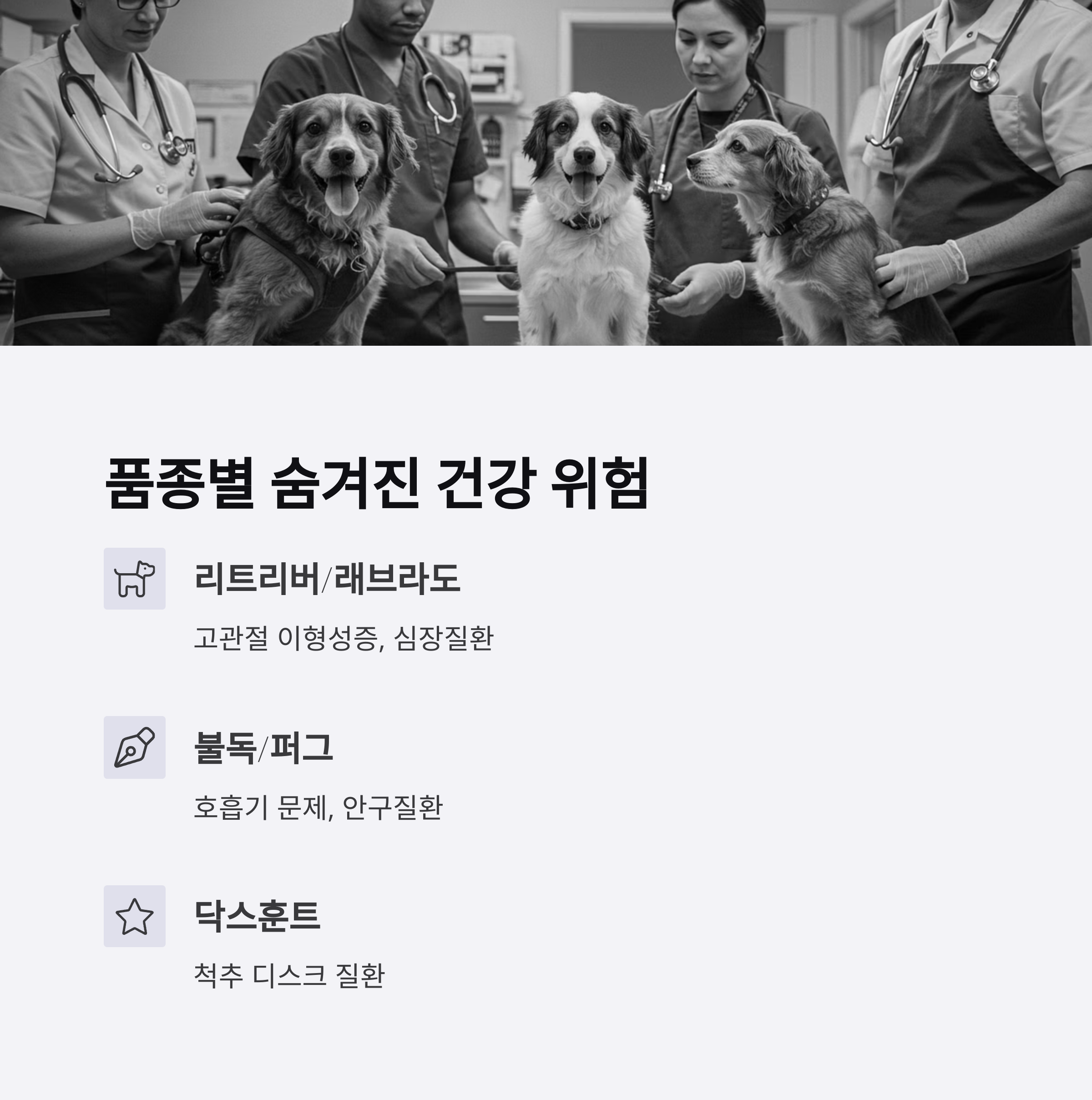 ๋ฐ๋ ค๋๋ฌผ ๋ณดํ ๊ฐ์