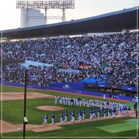 야구-직관-자리-응원-4