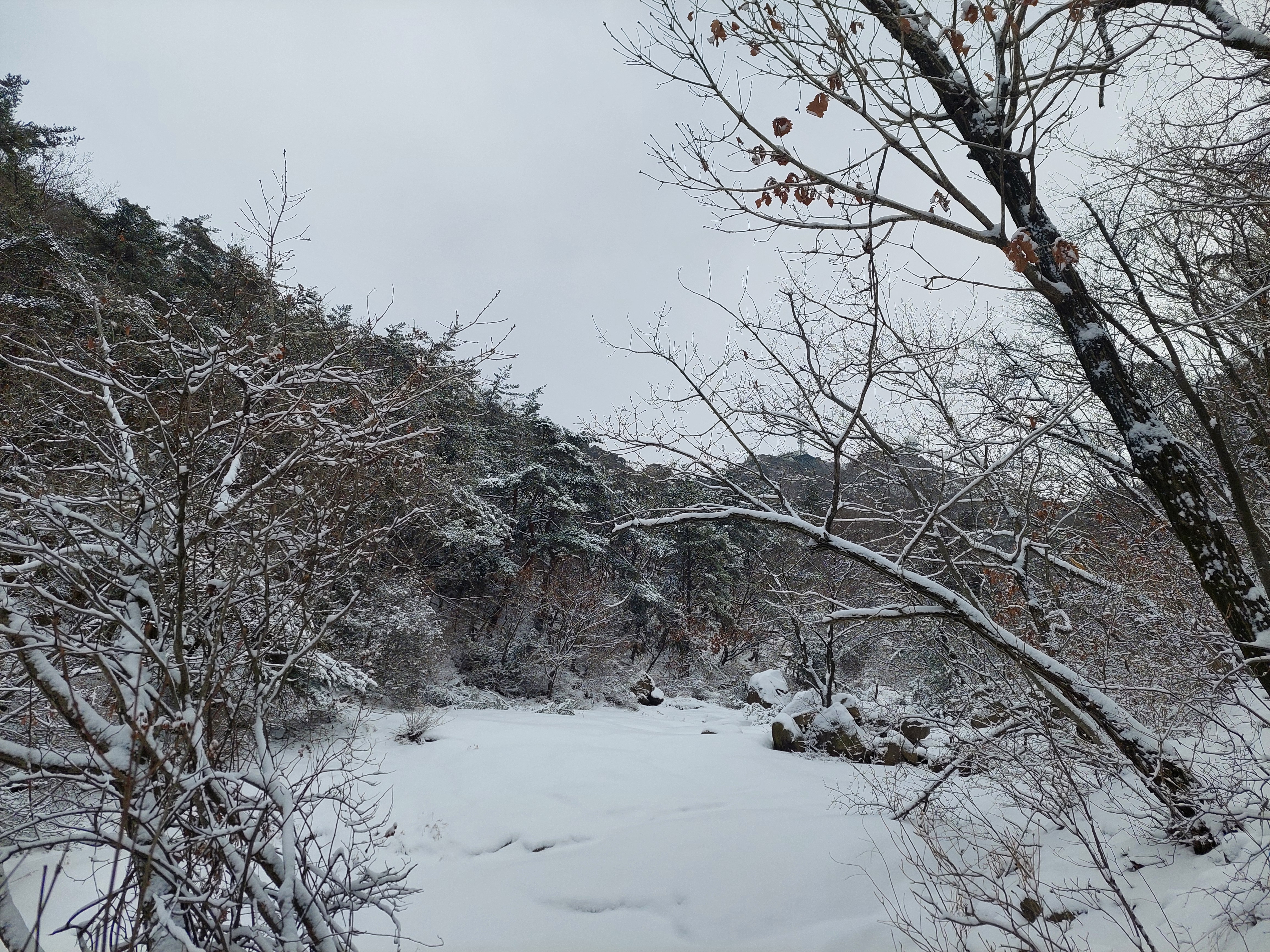 관악산