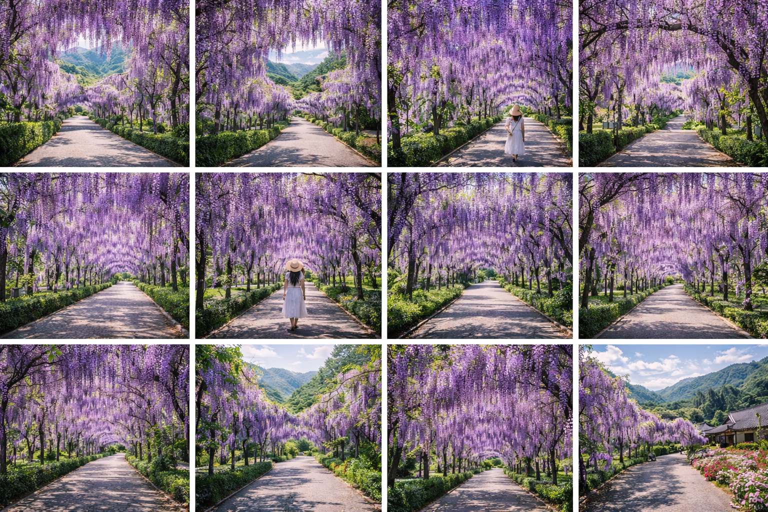 남해 냉천 등나무꽃길 걷기 좋은 시기와 코스 소개