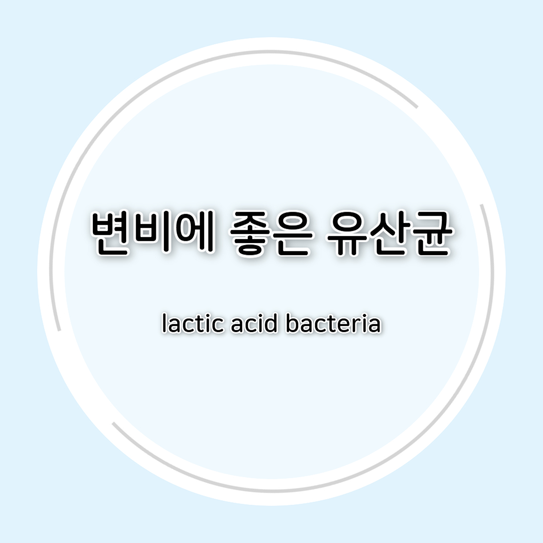 변비에 좋은 유산균 총정리