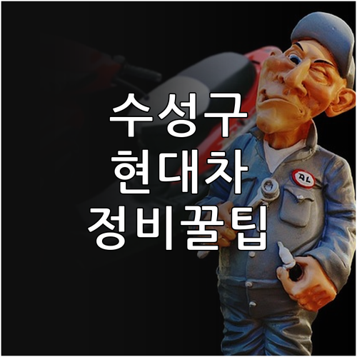 대구 수성구 지역 현대자동차 서비스 ..