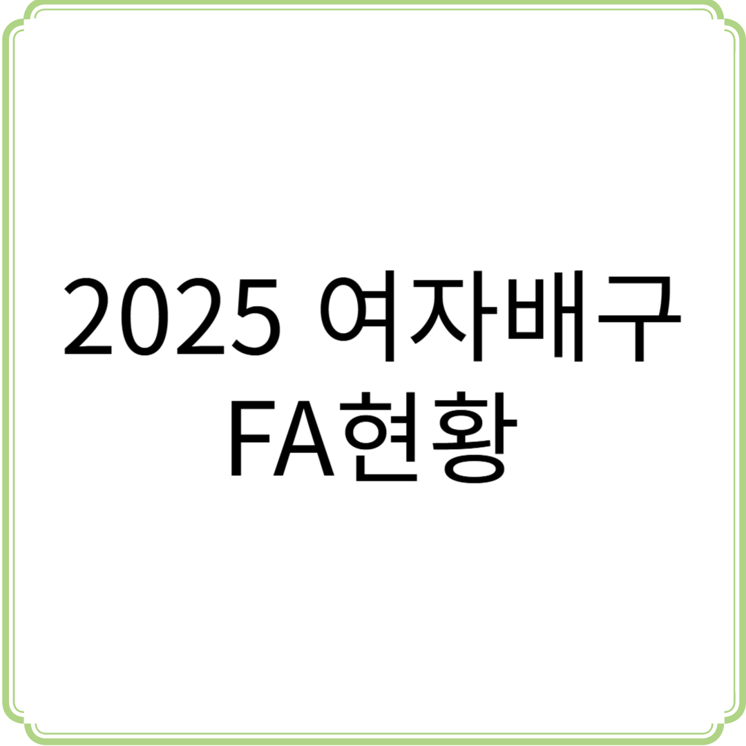2025 여자배구 FA현황 이동