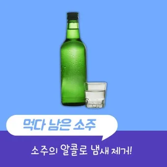 냉장고 냄새 김치통 밀폐와 랩 씌우기 식재료 분리 정리_20