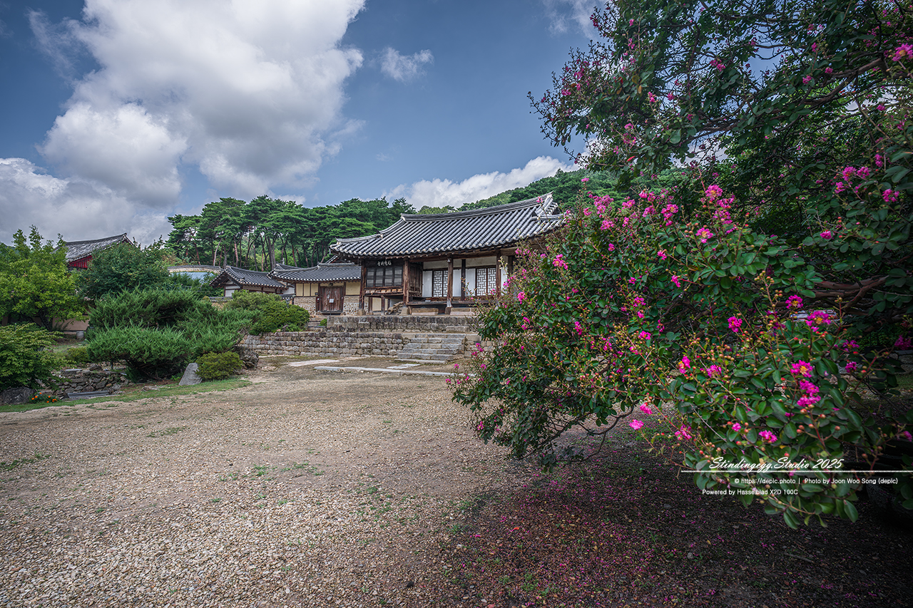 #논산 #명재고택 #고택 #배롱꽃