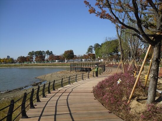 대구 가볼만한 곳 베스트 서문시장 수성못 유원지