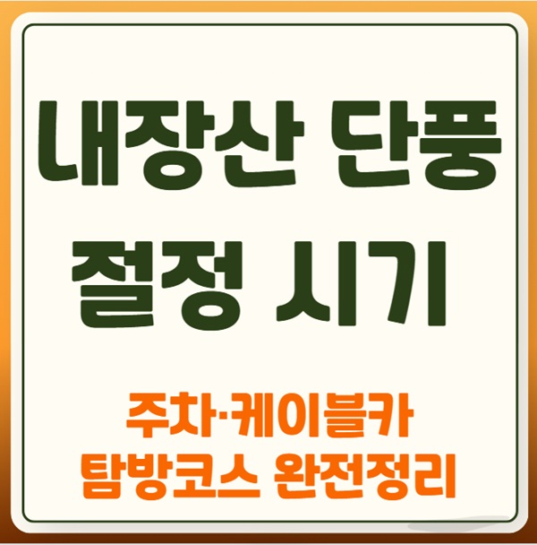 내장산 단풍 절정 시기｜주차·케이블카·탐방코스 완전정리
