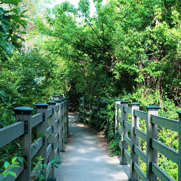 서울 도심 여행