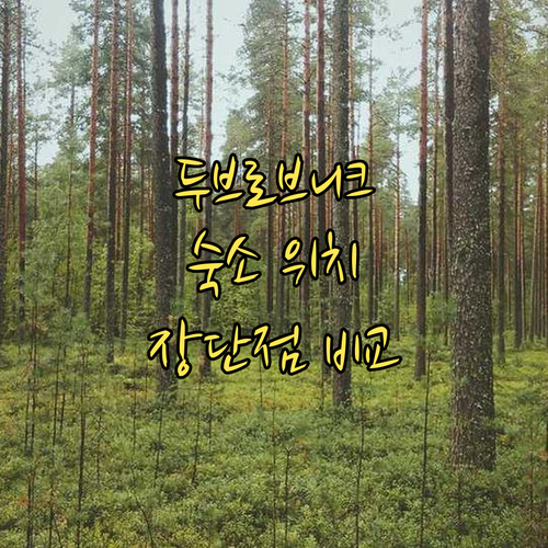 두브로브니크 숙소 위치별 장단점 비교