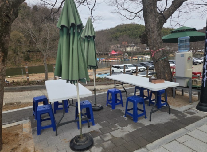 담양 메타세쿼이아길 봄꽃 산책 + 죽녹원시장