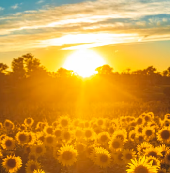 이석증 증상 후유증 원인 예방치료방법