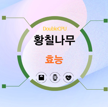 황칠나무 효능 탐구